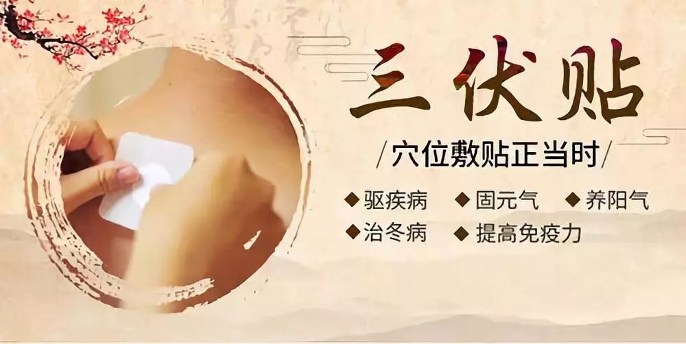 關(guān)于三伏貼，你了解多少呢？