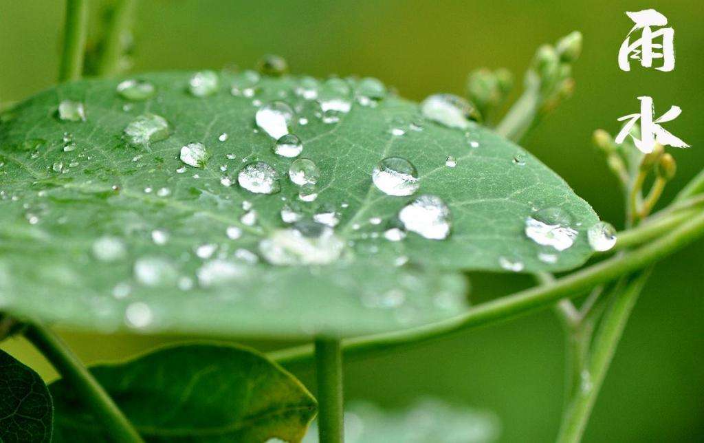 雨水！